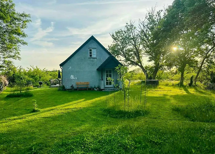 By Apple Orchard On Jungshoved *