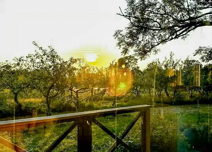 By Apple Orchard On Jungshoved Vakantiehuis Præstø