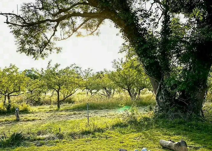 By Apple Orchard On Jungshoved 펜션